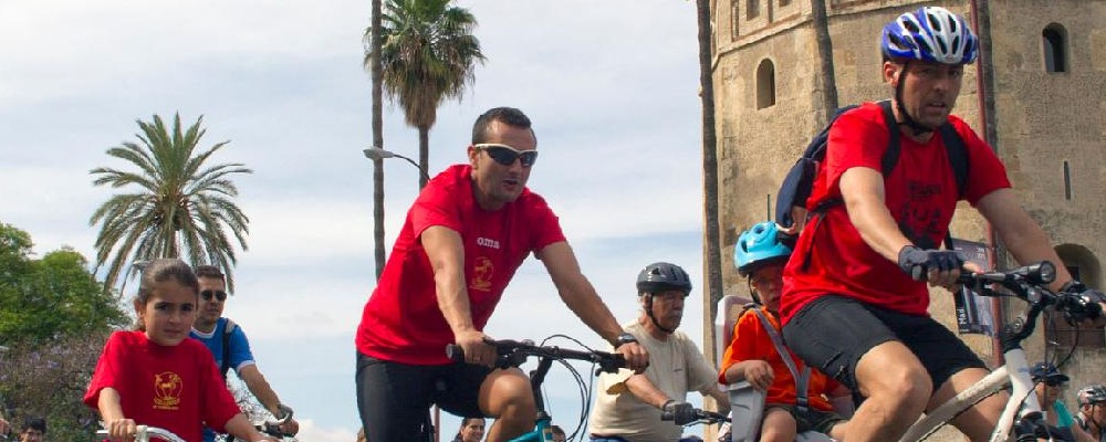 EDU: La Rete Di Biciclette Di Siviglia, Un Successo E In Crescita