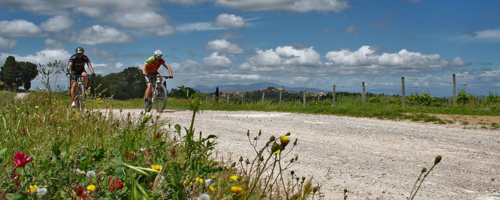 L’essenza Della Libertà. Domenica 12 Maggio La Randonnèe MTB Della Valdera