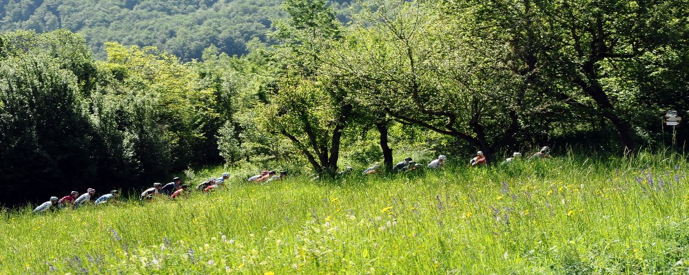 Gf Del Penice-Ti Rex: Imperdibile Il Trofeo Santangiolino
