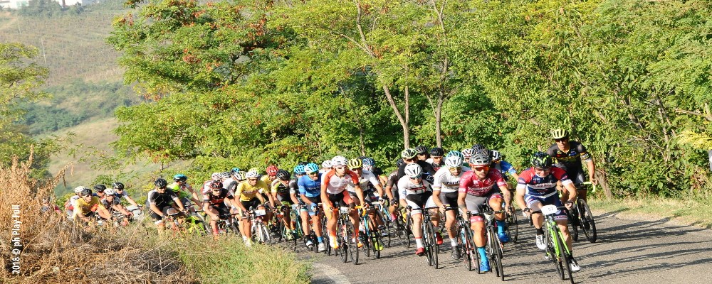 Migliorati I Percorsi Della Gf Di Casteggio