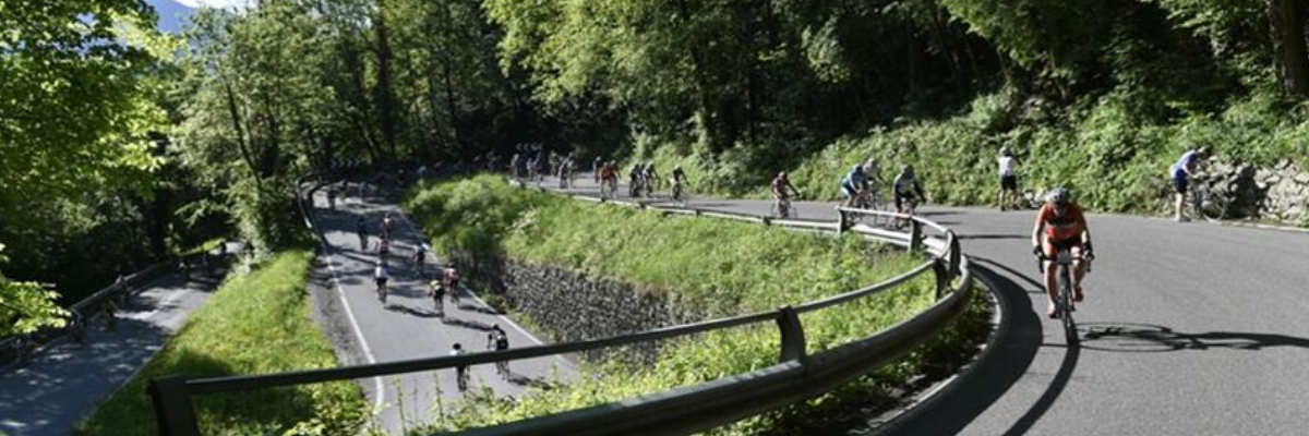 Precisazione Riguardo Le Linee Guida Per Le Granfondo