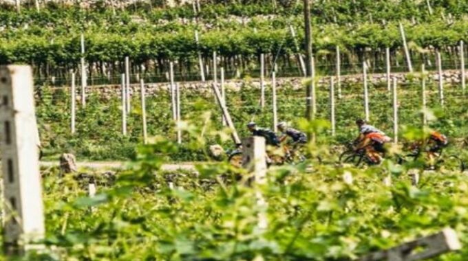 Il 18 Cronoscalata Alè Per La Ripartenza Nel Veneto