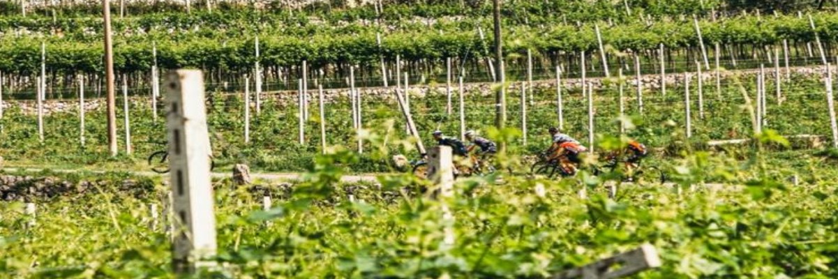 Il 18 Cronoscalata Alè Per La Ripartenza Nel Veneto
