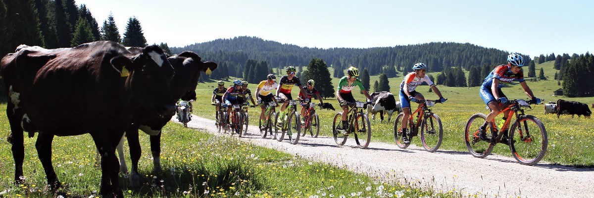 Annullata La 100 Km Dei Forti